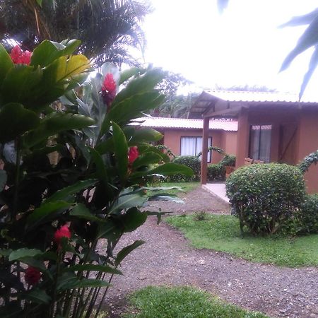 Slow Travel Lodge Upala Exterior photo